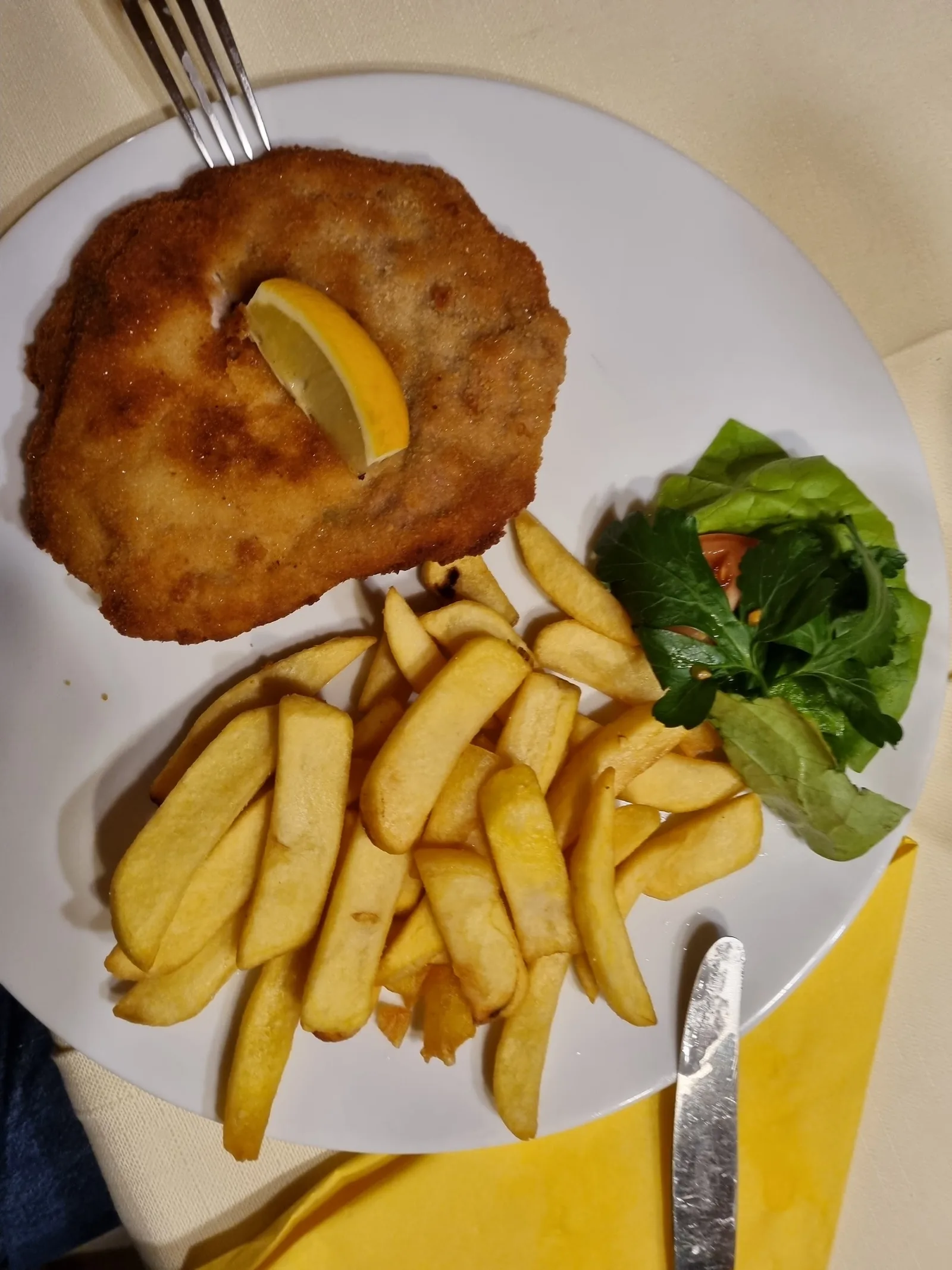 Paniertes Schnitzel mit Zitronenscheibe, Pommes frites und einem kleinen Salat
